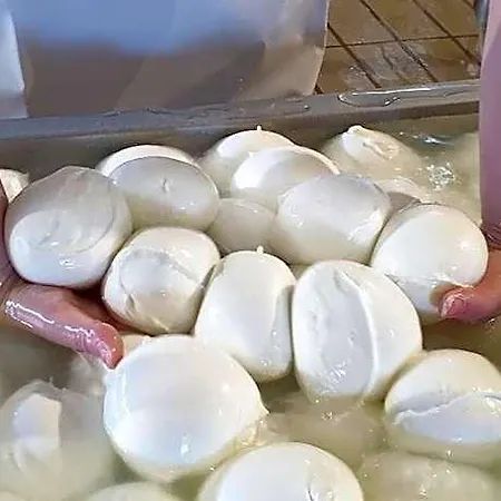 Dal Gallo Frühstückspension