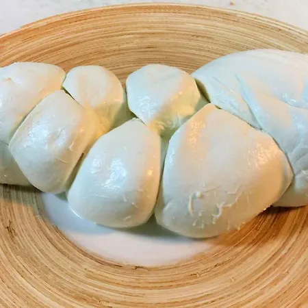 Nocleg ze śniadaniem Dal Gallo